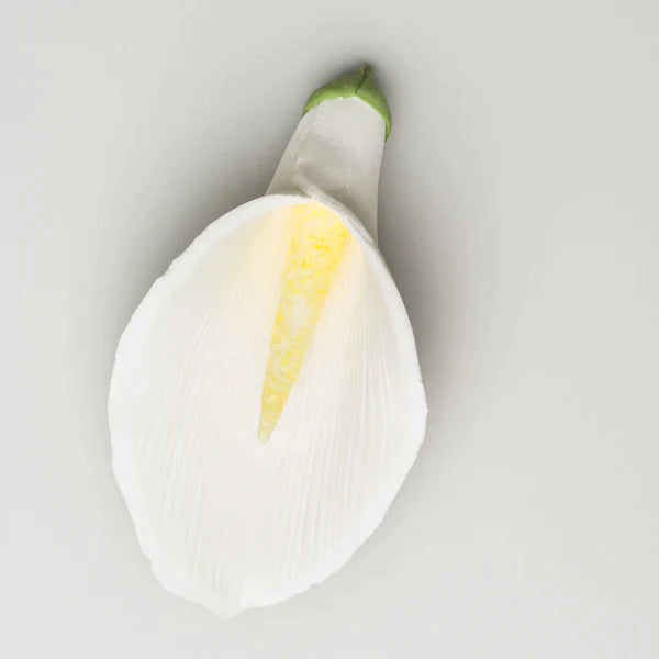 Calla Lily - Medium - Yellow/Green