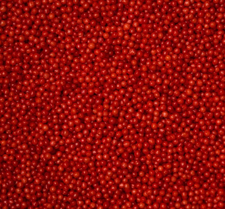 Red Nonpareils