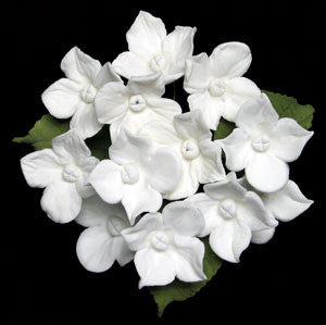 Hydrangea Bunches
