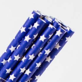 Navy with White Star Straws