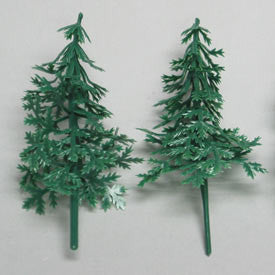 Evergreen Trees