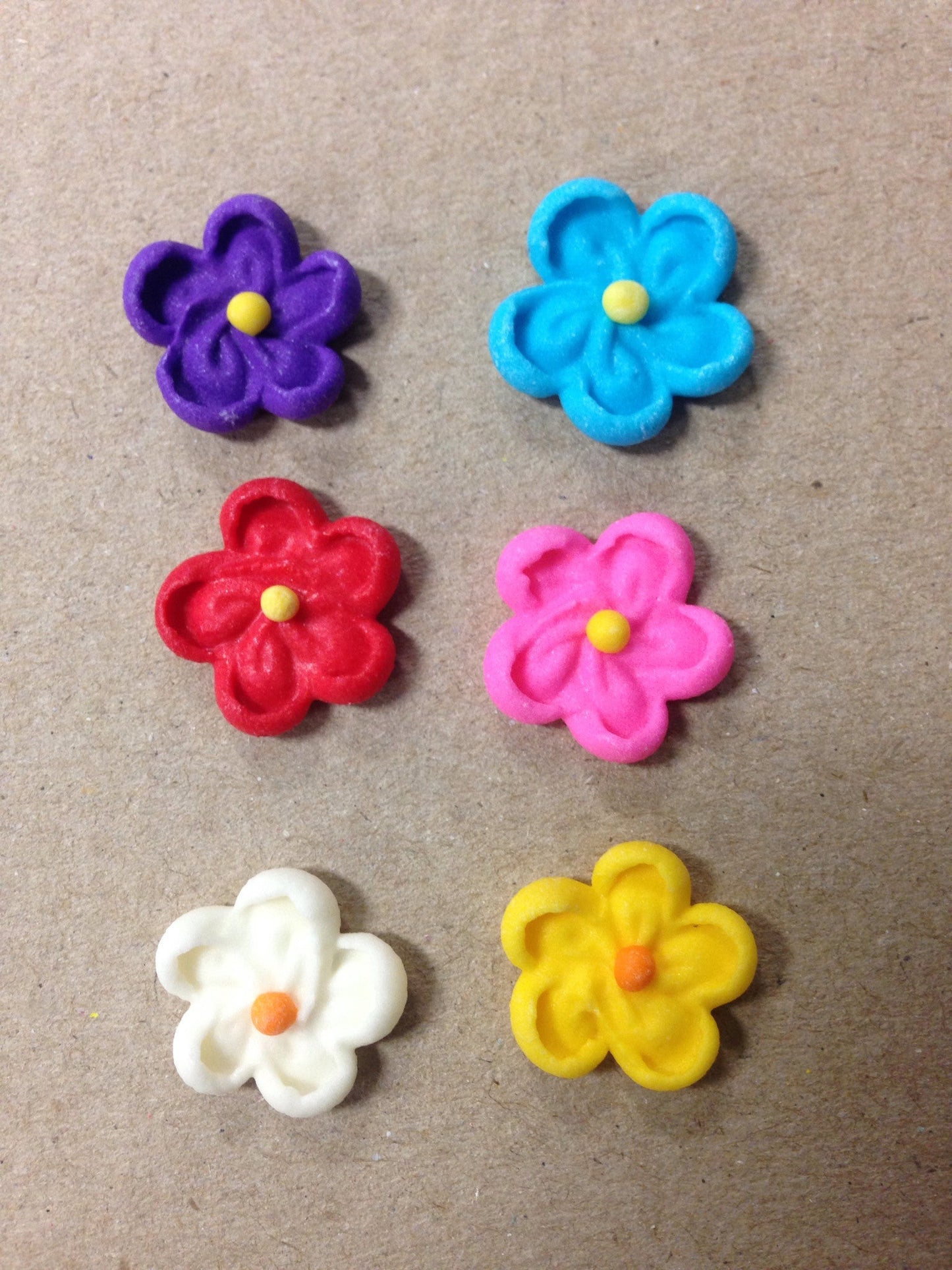 RI blossom flowers medium