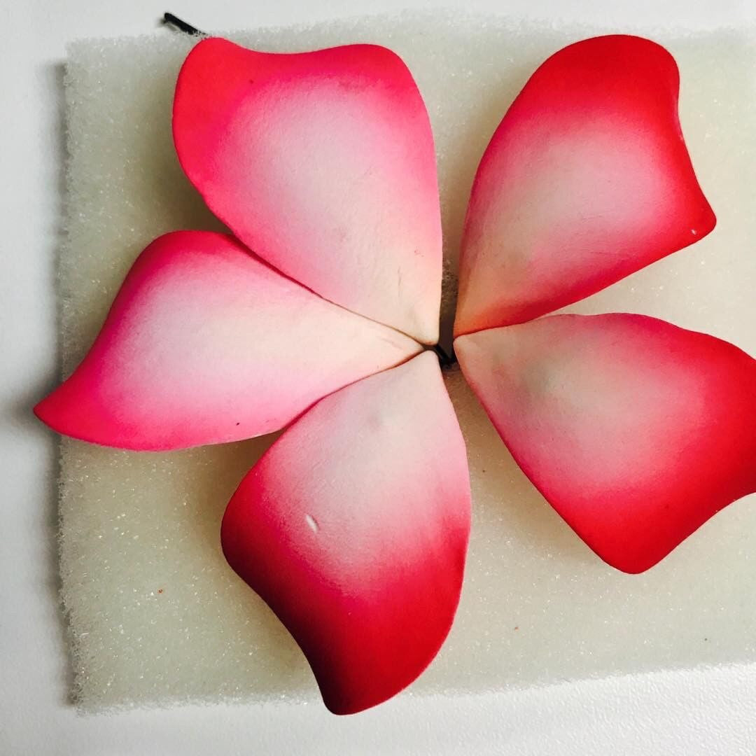 Hawaiian Bloomed Plumeria