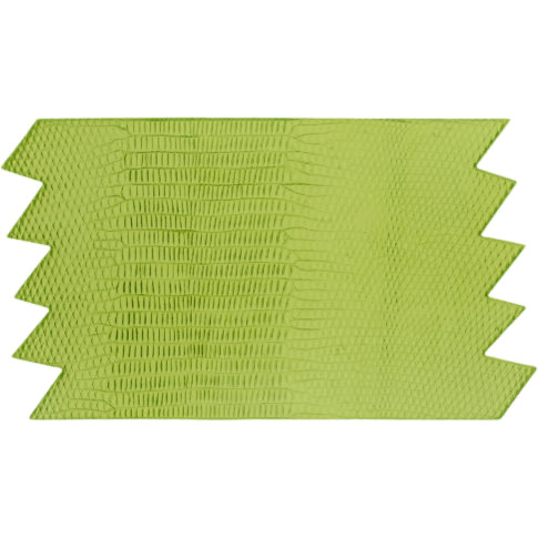 Lizard Mat