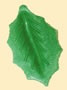 Wafer Holly Leaves