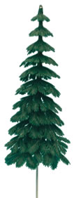 Evergreen Tree Extra Large