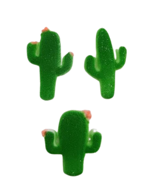 Cactus Assortment
