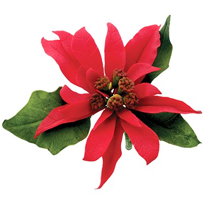 JEM Christmas Cutters - Poinsettia Set of 10