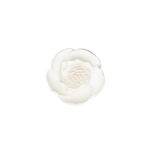 2" Briar Rose - White - Small