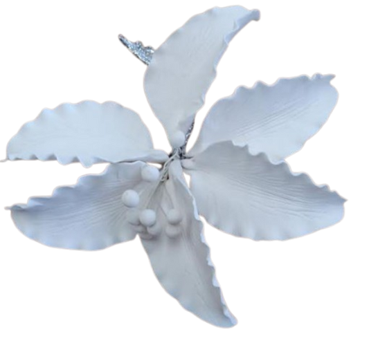 Casablanca Lily Single: Whit large