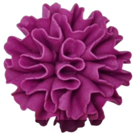 Carnation-Purple