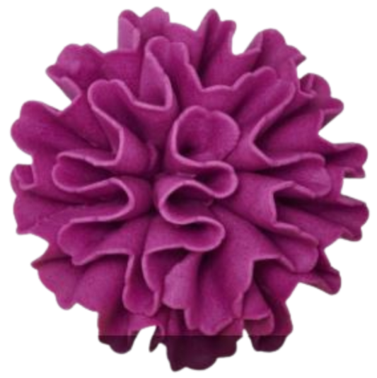 Carnation-Purple