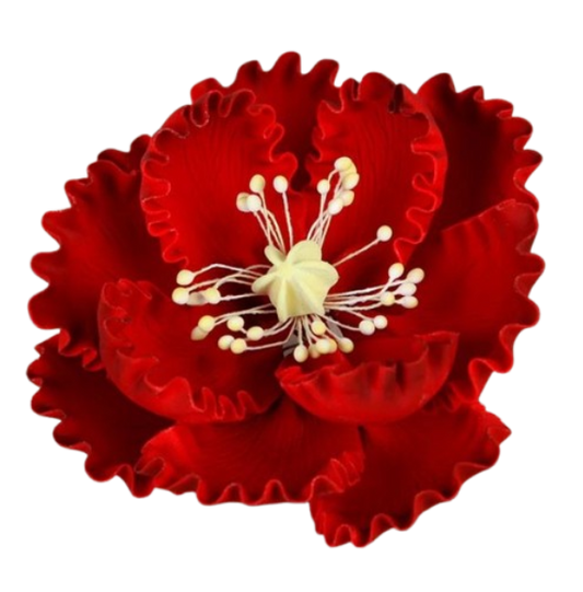 Peonies - Red