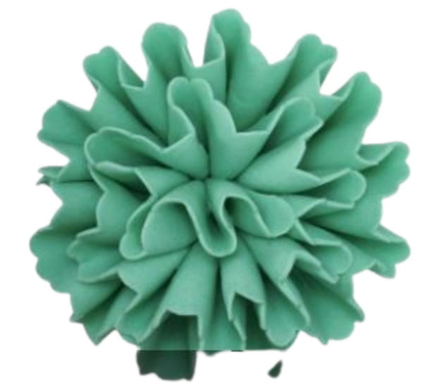 Carnation - Teal