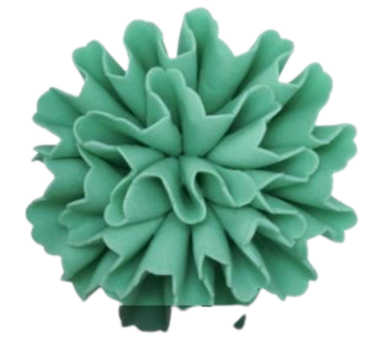 Carnation - Teal
