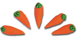 Royal Icing Carrots - Medium