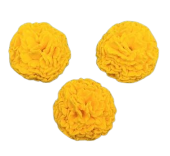 Marigold Flower- Yellow