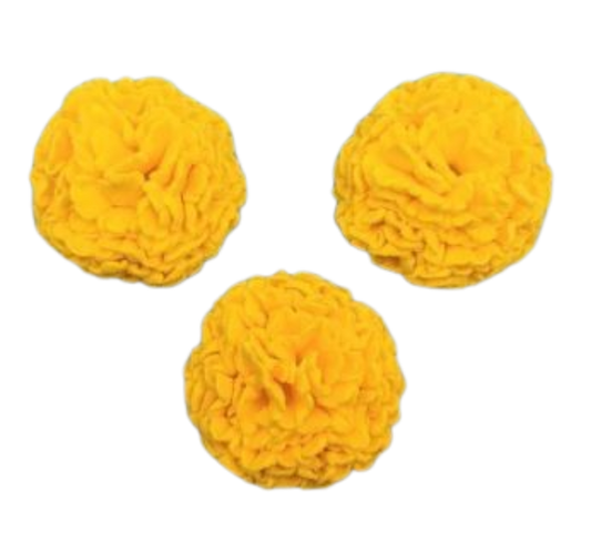 Marigold Flower- Yellow
