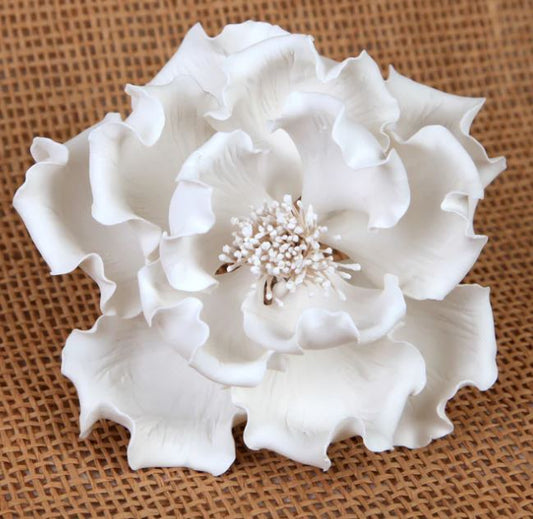 Large Peonies - White