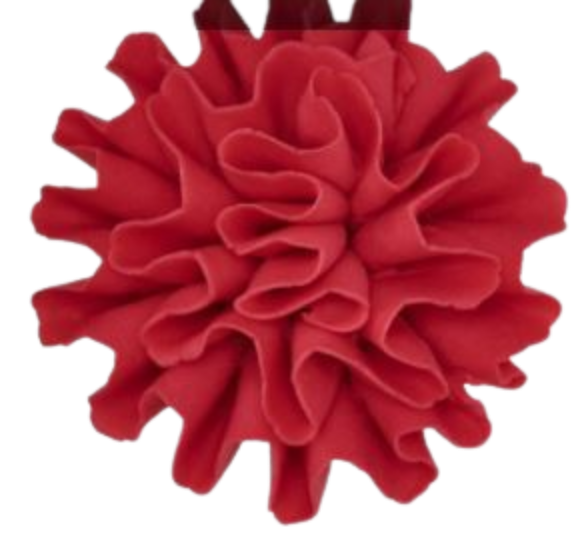Carnation- Red