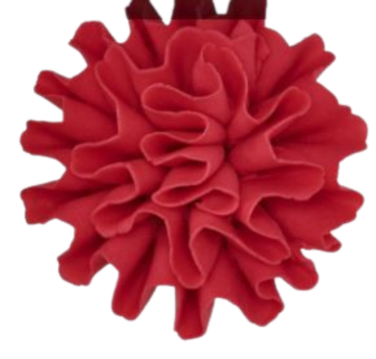 Carnation- Red