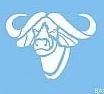 Buffalo Stencil