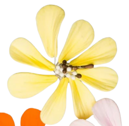 1.5" Cosmos -Yellow