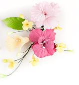 Small Combination Sprays