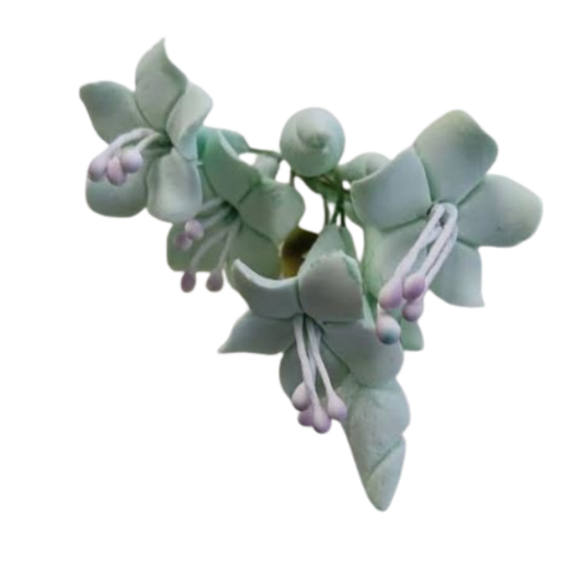 Mint Green Bell Flower