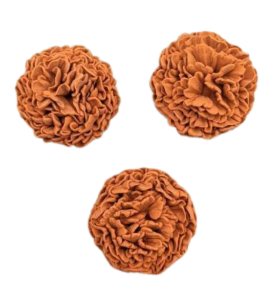 Marigold Flower-Rust