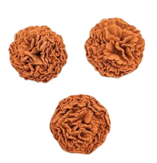 Marigold Flower-Rust