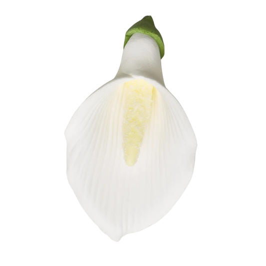 2.5" Calla Lily - Med/Lg - White
