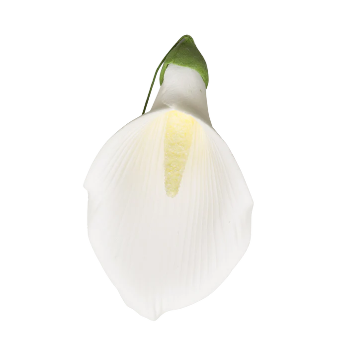 3.5" Calla Lily - Large - White