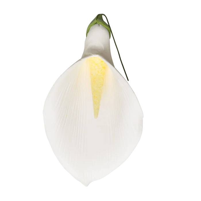 5.5" Calla Lily - XL - White