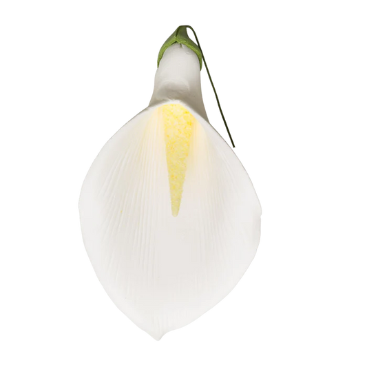 5.5" Calla Lily - XL - White