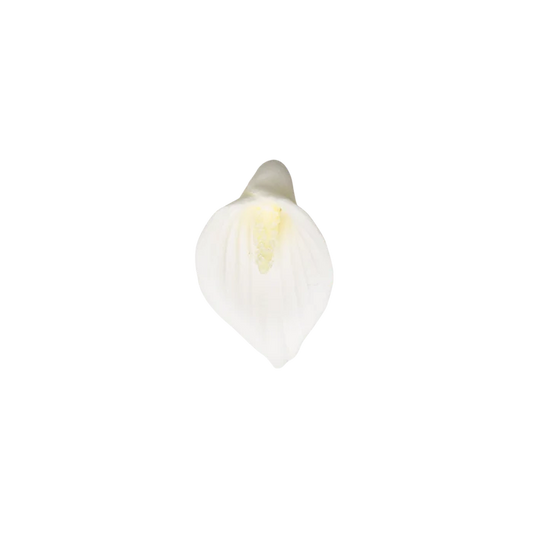 1" Calla Lily w/o Wire - Petite - White