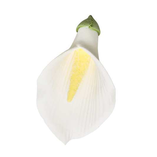 2.5" Calla Lily w/o Wire - Med/Lg - White