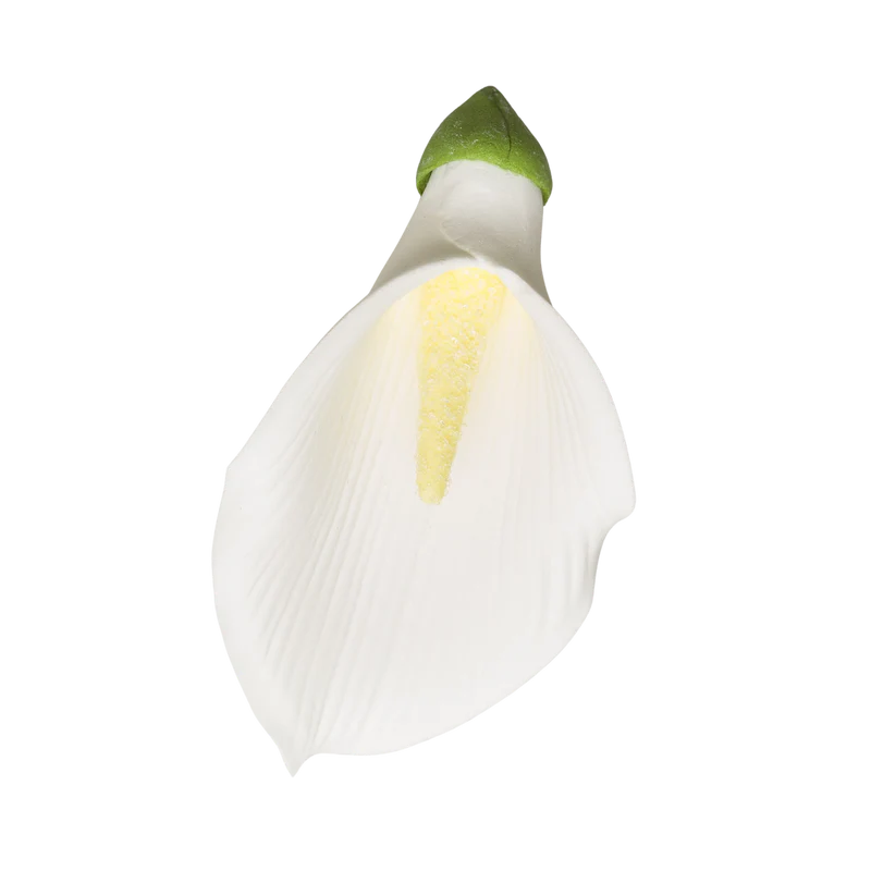 3.5" Calla Lily w/o Wire - Large - White