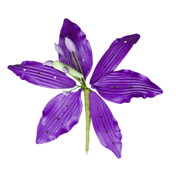 4" Lily (Lilium) - Purple