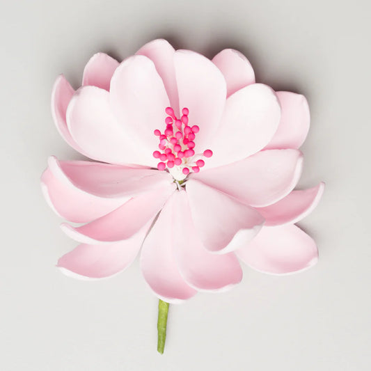 3" Lotus - Pink