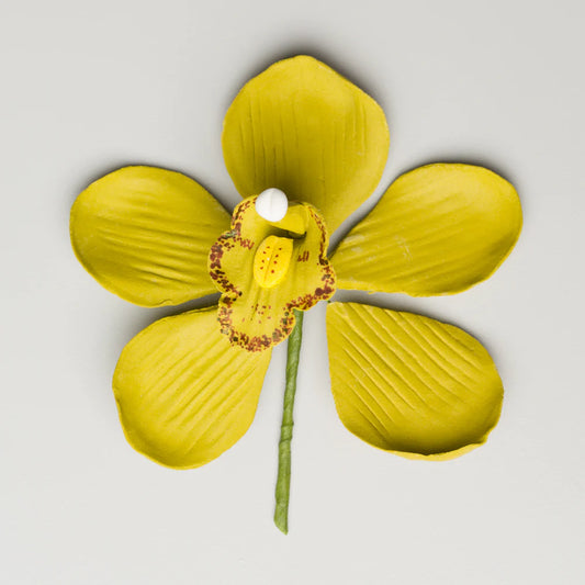 3.5" Cymbidium Orchid - Large - Artful Magic Yellow