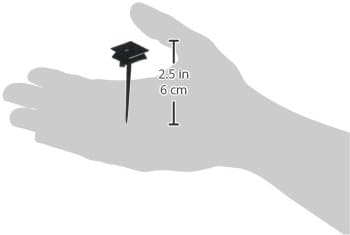 Graduation Cap Plastic Picks
