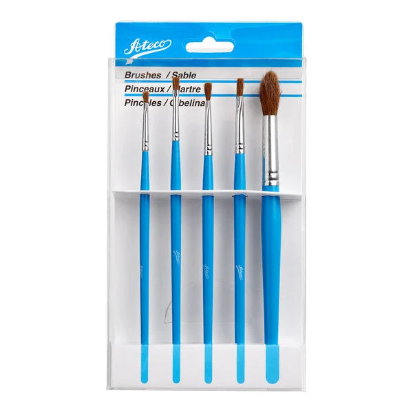 5 pc Artist Brush Set