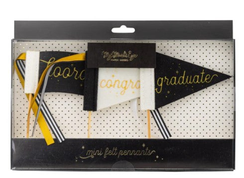 Graduation Mini Felt Pennants