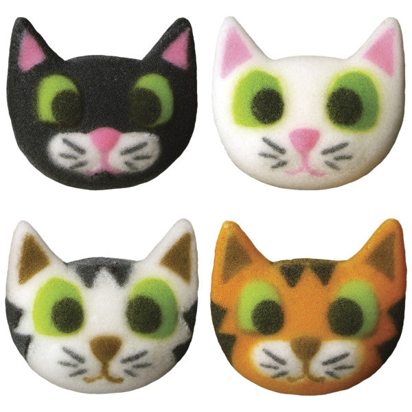 Kitty Assortment