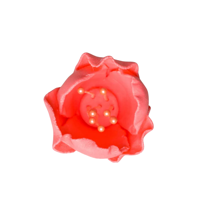 1" Tulip - Coral