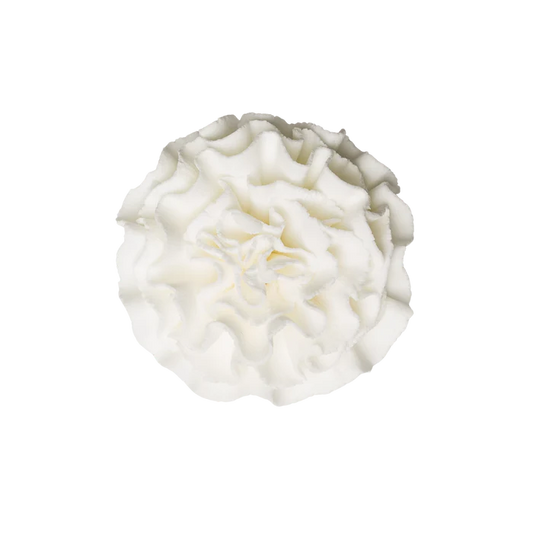 1.75" Carnation - Large - White