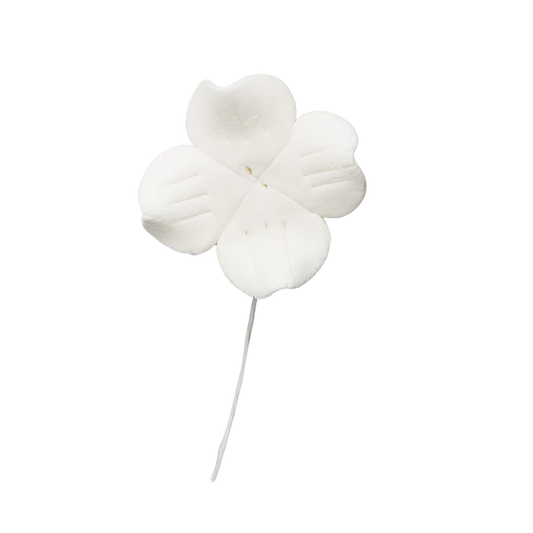 1.5" Dogwood - All White