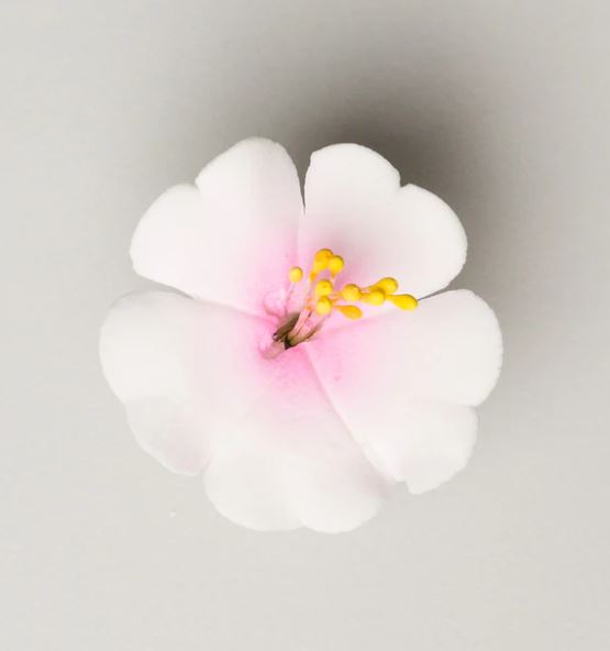 1.25" Cherry Blossoms - White w/ Pink