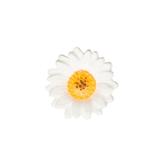 1.5" Shasta Daisy - White